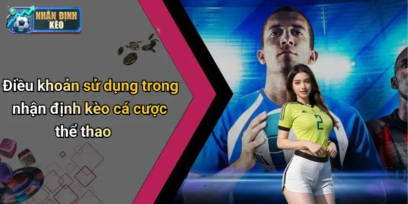 Điều khoản sử dụng trong nhận định kèo cá cược thể thao