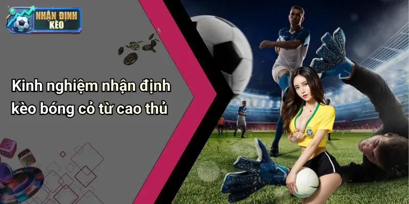 Kinh nghiệm nhận định kèo bóng cỏ từ cao thủ
