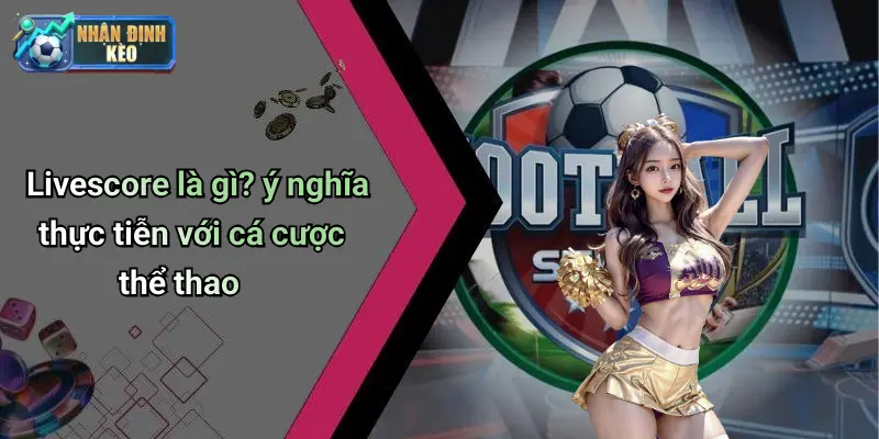Livescore là gì? ý nghĩa thực tiễn với cá cược thể thao