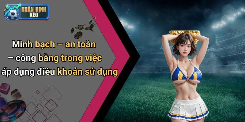 Minh bạch – an toàn – công bằng trong việc áp dụng điều khoản sử dụng