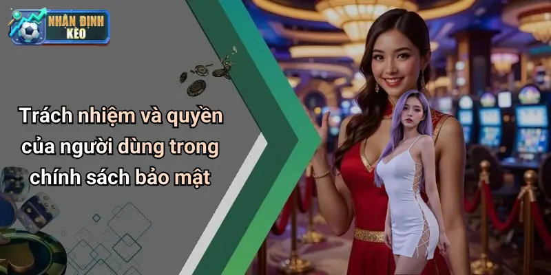 Trách nhiệm và quyền của người dùng trong chính sách bảo mật